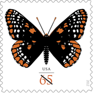 Baltimore Checkerspot Butterfly Flutters On U.S. Postal Stamp  