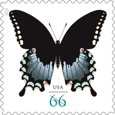 Accepting pre-orders for Spicebush Swallowtail stamps