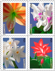 Winter Flowers stamps