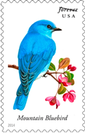 Songbirds stamps take flight