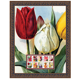 Botanical Art Framed Stamp