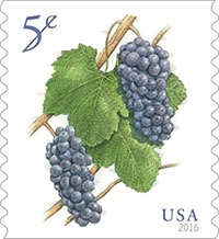 2016 is an excellent year for grapes stamps