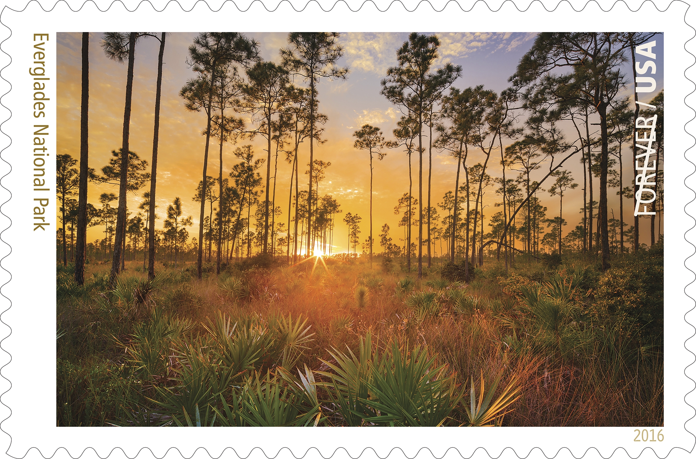 6th of 16 National Parks centennial stamps features Everglades National Park