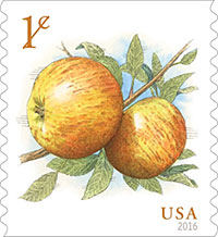 one cent apple stamp