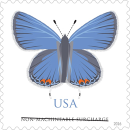 USPS reveals Eastern Tailed-Blue butterfly stamp