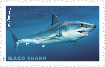 Sharks surfacing at nation’s Post Offices