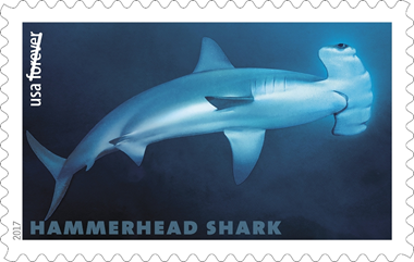 USPS celebrates Sharks forever stamps
