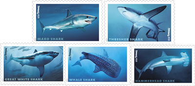 Sharks Forever stamps