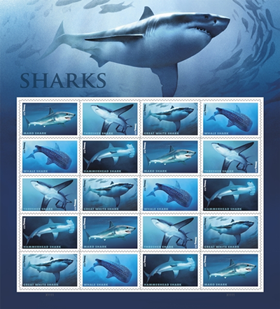 Sharks Forever stamps panel