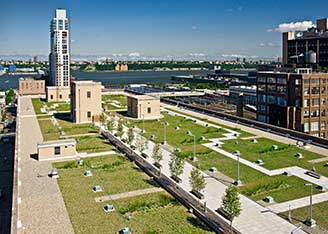 Green roof - Morgan facility, New York City