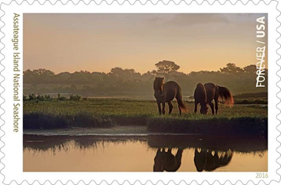 Assateague Island National Shore stamp