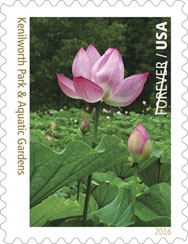 Kenilworth Park Aquatic Gardens Stamp Special Dedication Ceremony