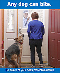 National Dog Bite Prevention Week