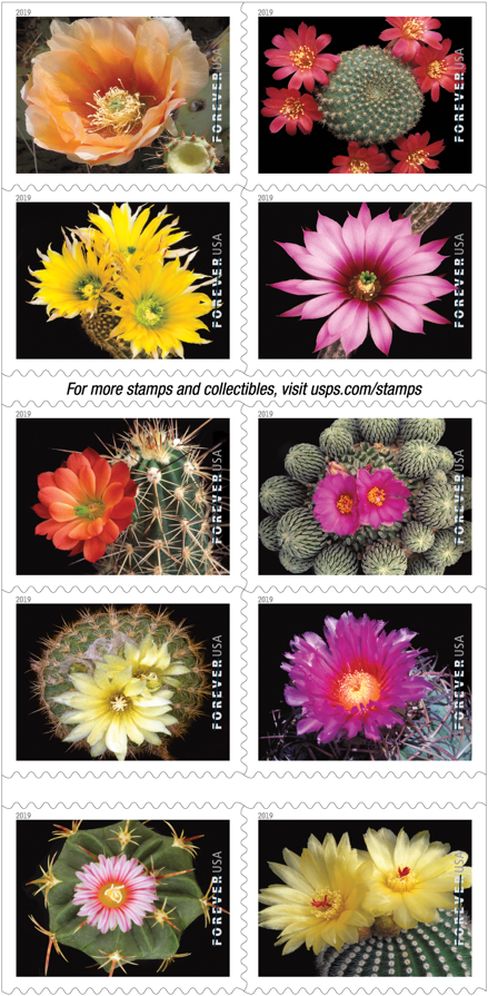 Cactus Flowers stamp
