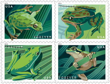 Frogs stamp