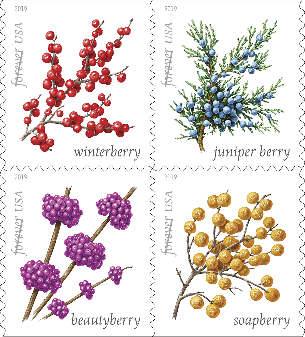 New Forever Stamps Feature Winter Berries