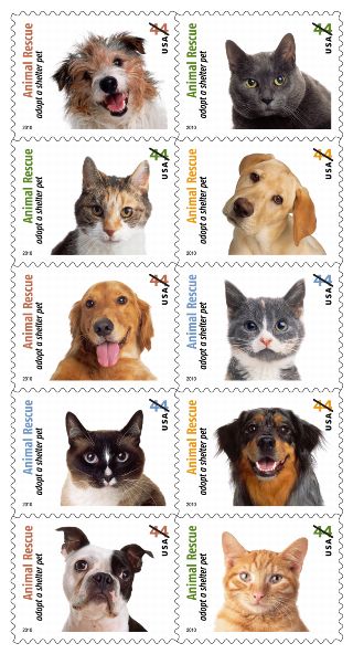 Stamp Announcement 10j-12: Animal Rescue: Adopt a Shelter Pet