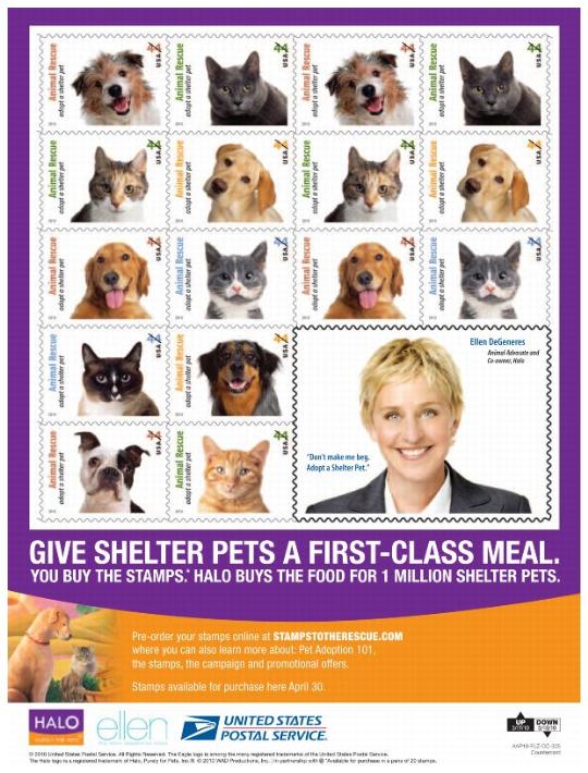 GIVE SHELTER PETS A FIRST-CLASS MEAL - counter card