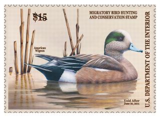 Stamp Announcement 10-17: Migratory Bird Hunting and Conservation Stamp