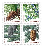 Evergreens (forever) stamp
