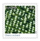 Cherry orchard stamp
