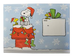 Snoopy Bubble Mailers