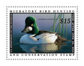 Stamp Announcement 13-28: Migratory Bird Hunting and Conservation Stamp