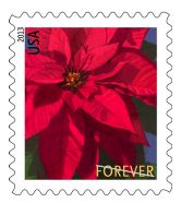 Poinsettia stamp