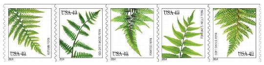 Stamp Announcement 14-4: Ferns Stamp