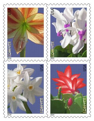 Stamp Announcement 14-10: Winter Flowers Stamp