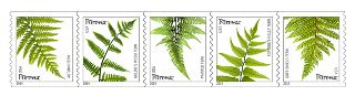 Stamp Announcement 14-19: Ferns Stamp
