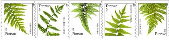 Stamp Announcement 15-15: Ferns Stamp