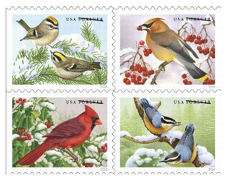 Stamp Announcement 16-30: Songbirds in Snow Stamps