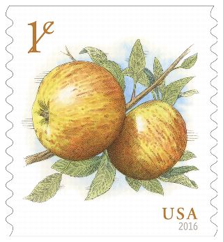 Stamp Announcement 16-31: Apples Stamp