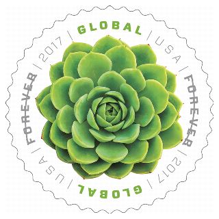 Stamp Announcement 17 -21: Grean Succulant Stamp