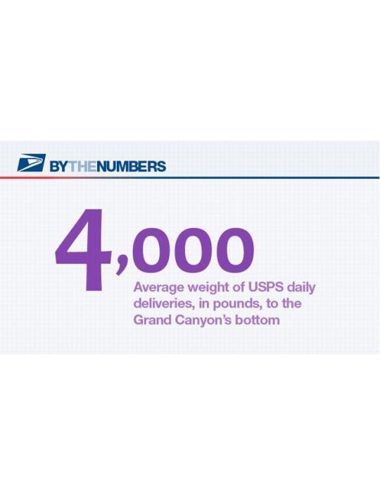 BY THE NUMBERS - 4,000 - Average weight of USPS daily deliveries, in pounds, to the Grand Canyon’s bottom
