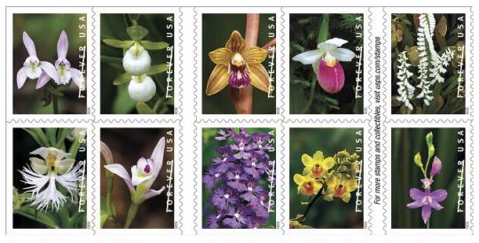 FDOI: Wild Orchids Stamps