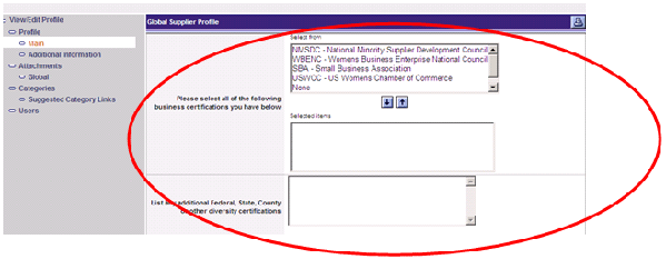 eSourcing Supplier Update Process Step 3a