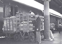 Loading mail, ca. 1950s