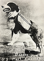 Dorsey the mail-carrying canine, 1885