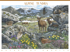 Alpine Tundra Backgrounder