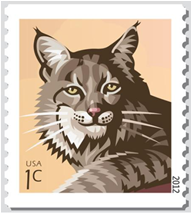 U.S. Postal Service To Issue New 1-cent Bobcat Stamp