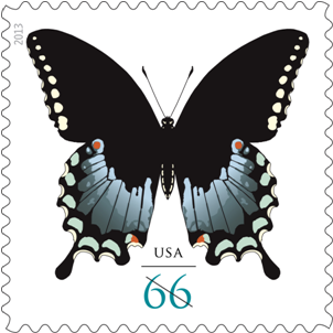 Spicebush Swallowtail Butterfly Stamp