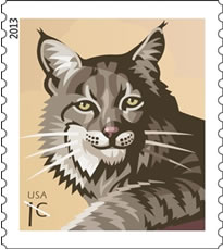 Bobcat stamp Bobcat stamp