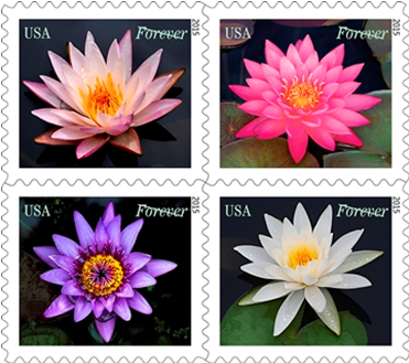 Water Lilies Forever stamps