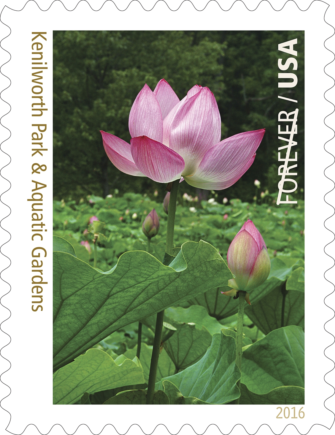 Kenilworth Park & Aquatic Gardens stamp