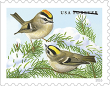 Songbirds in snow forever stamps
