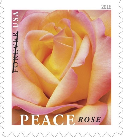 Peace Rose stamp