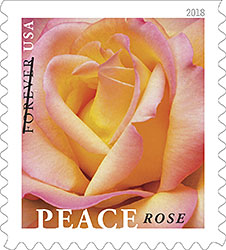 the Peace Rose Forever stamp