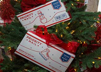 Priority Mail for the holidays